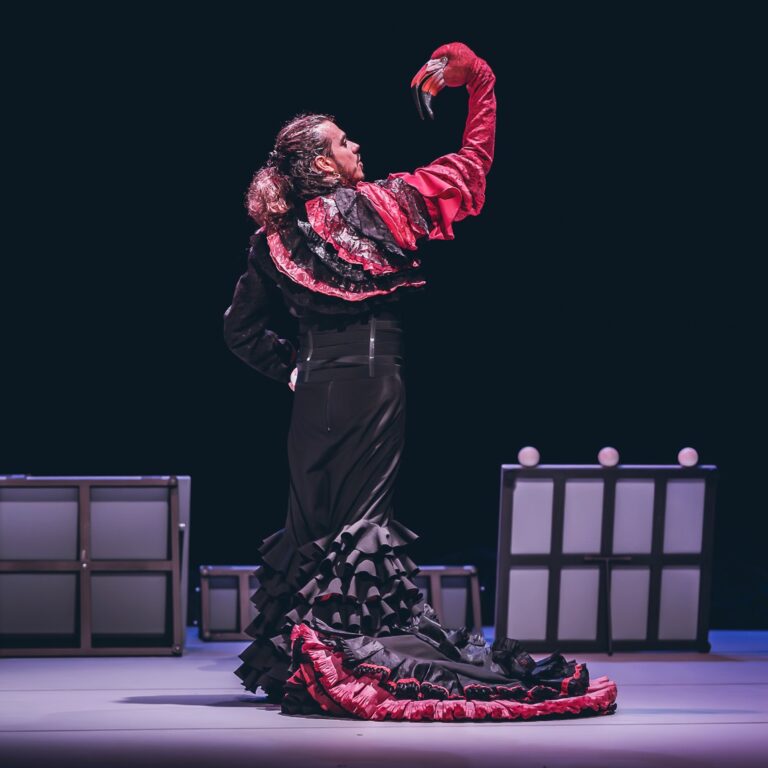 Bailaora flamenca sostiene un flamenco rosa sobre el escenario